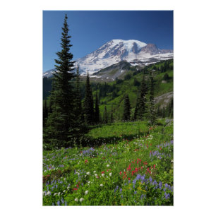 Poster Fleurs sauvages au Mont Rainier