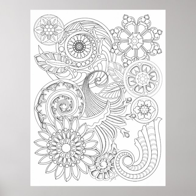 Poster Fleurs spirales : MOYENNE do-it-yourself Coloratio (Devant)
