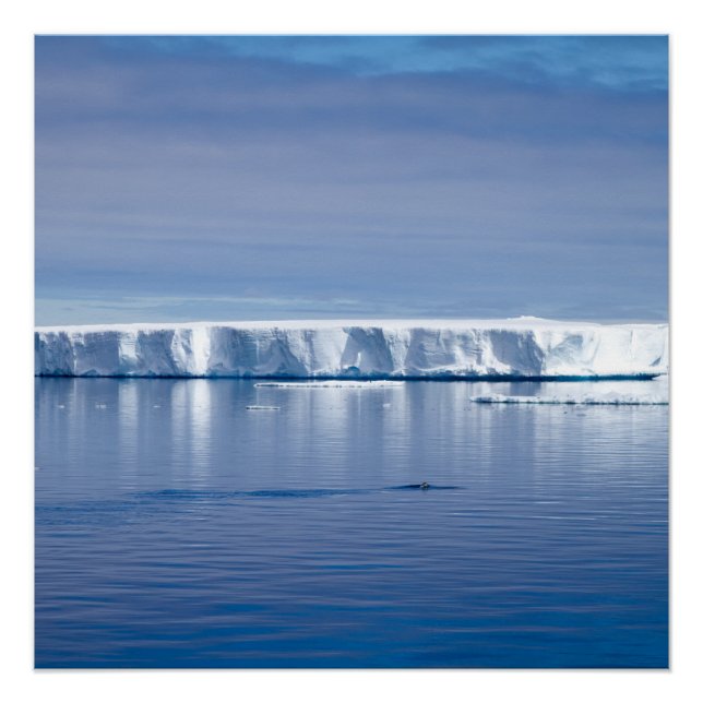 Poster Floating iceberg (Devant)