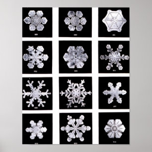 Poster Flocons de neige de Wilson Bentley