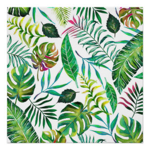 Poster Flora tropicale