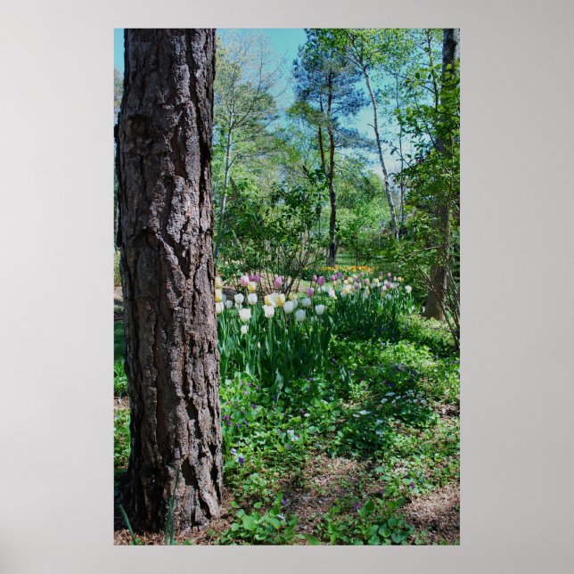 Poster floral - 1 (Devant)