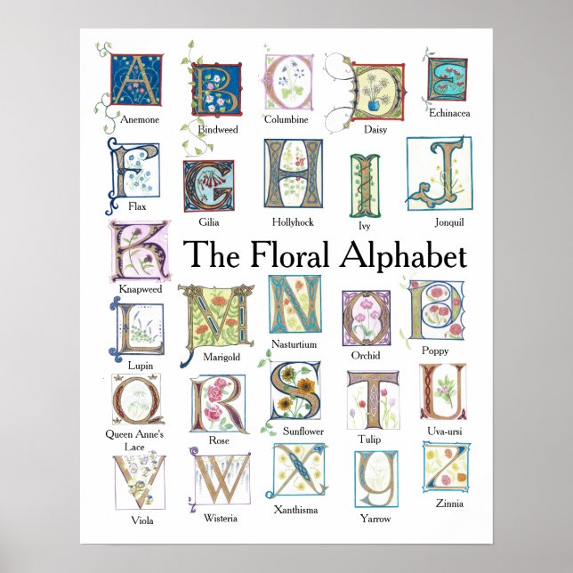 Poster Floral Alphabet (Devant)