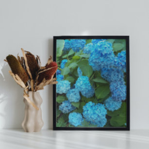 Poster Floral d'Hydrangée Bleue