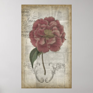 Poster Floral français III