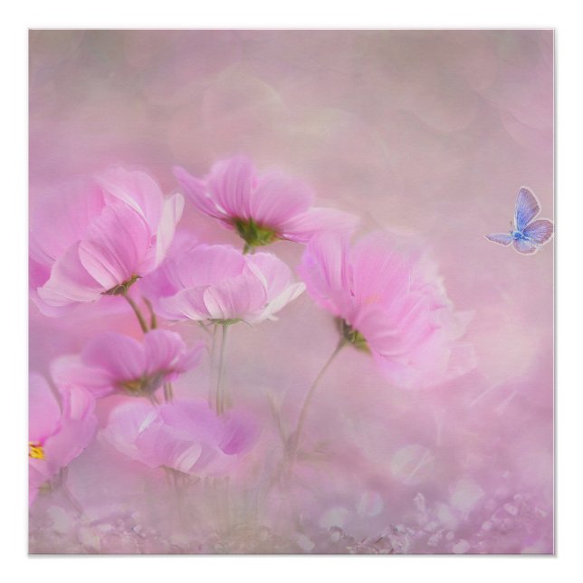 Poster Floral rose (Devant)