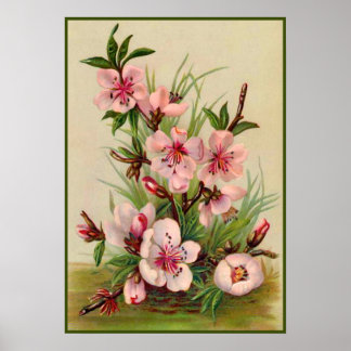 Poster Floral rose vintage