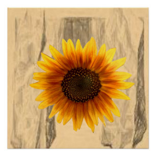 Poster floral Tournesol
