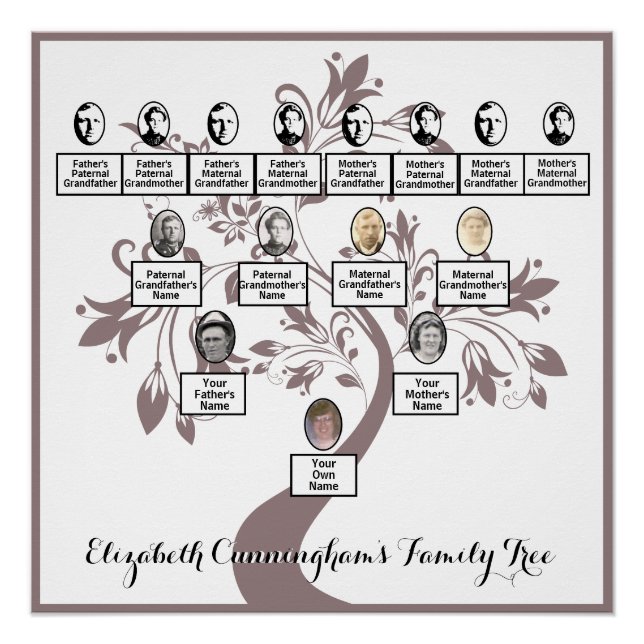 Poster Floral Tree Plum Silhouette Family Tree Photos (Devant)