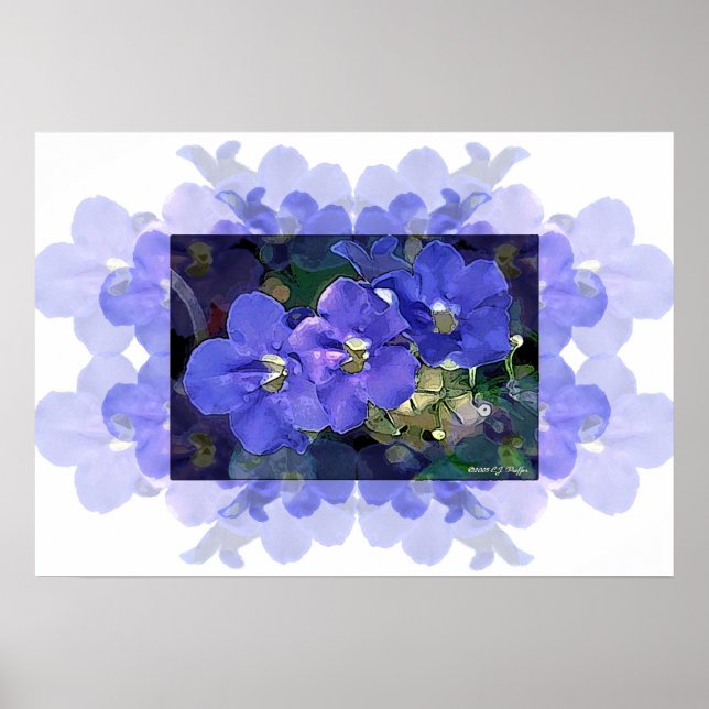 Poster 'Flores Azuis' (Fleurs Bleues) (Devant)