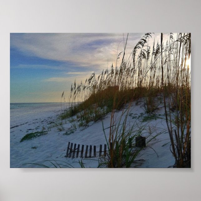 Poster Florida Beach (Devant)