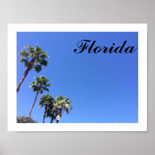 Poster Florida Blue Sky