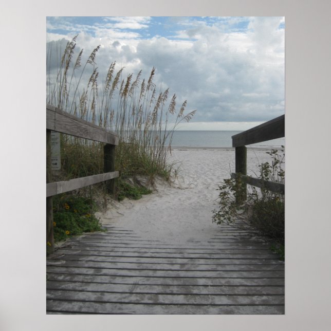 Poster Floride Beach Path (Devant)