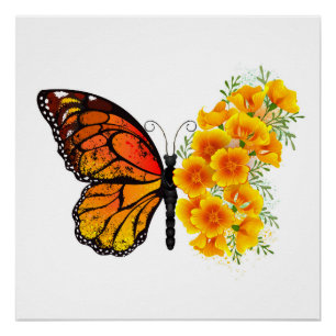 Poster Flower Butterfly with Yellow California Poppy