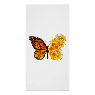 Poster Flower Butterfly with Yellow California Poppy