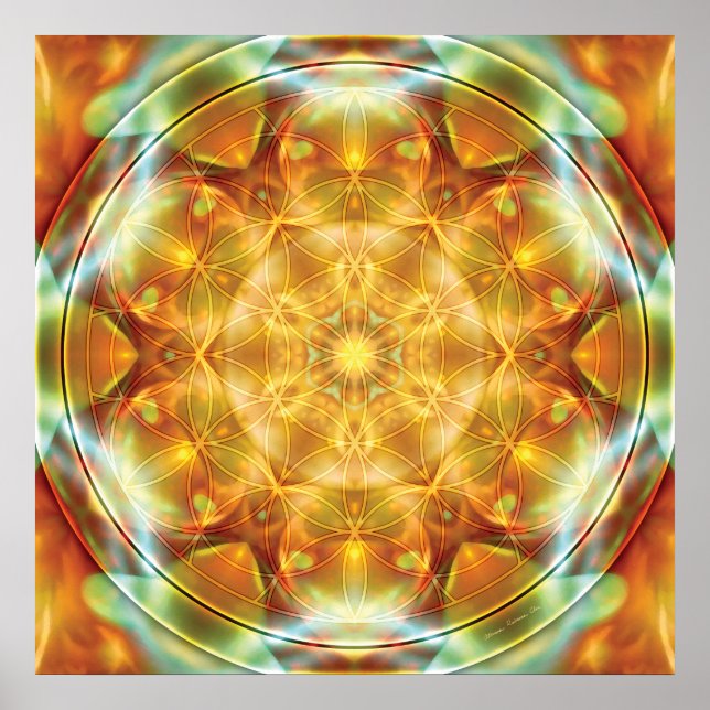 Poster Flower of Life Mandala 16 (Devant)