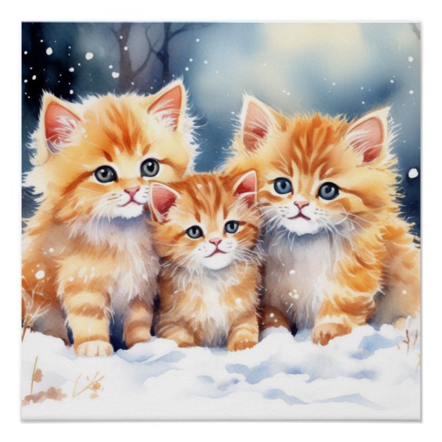Poster Fluffy Ginger Kittens (Devant)