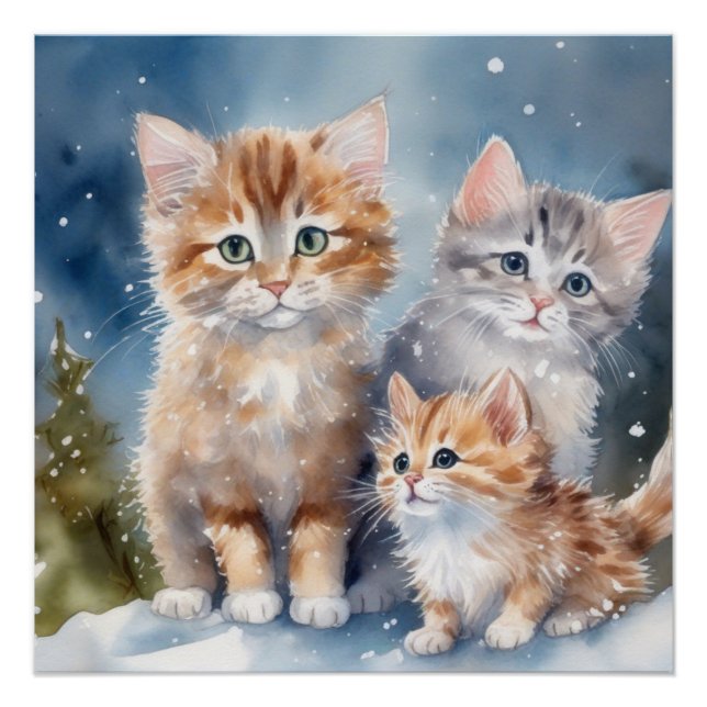 Poster Fluffy Kittens (Devant)