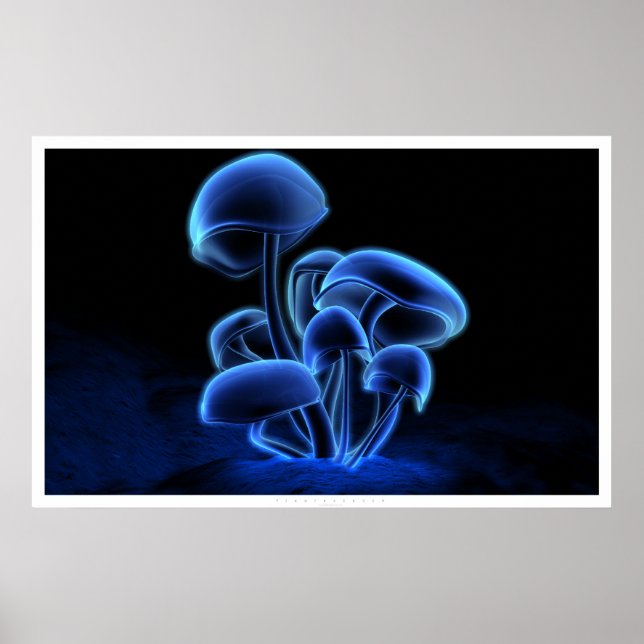 Poster Fluorescence (Devant)