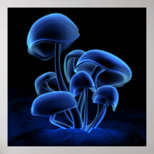 Poster Fluorescence bleue (carré)