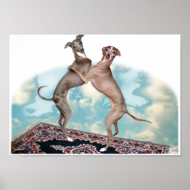 Poster Flyers peu fréquents (Devant)