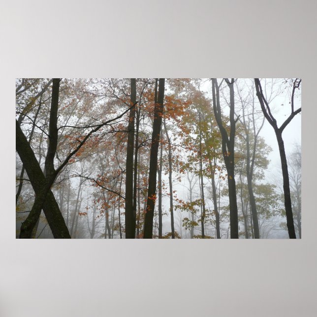 Poster Foggy Fall en Pennsylvanie Automne Nature (Devant)
