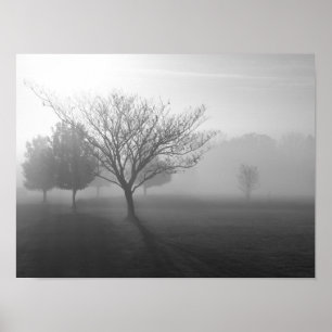 Poster Foggy Misty Morning dans l'affiche d'Ozarks