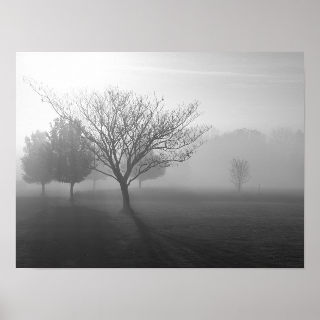 Poster Foggy Misty Morning dans l'affiche d'Ozarks (Devant)