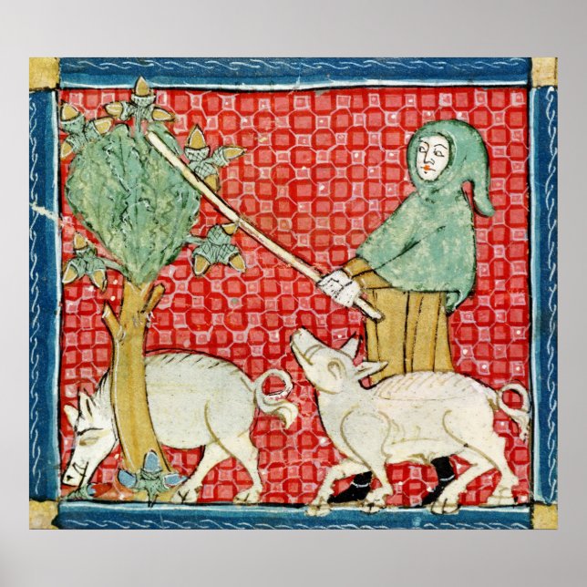 Poster Fol.59v November: Gathering Acorns (Devant)