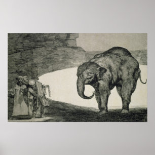 Poster Folie des bêtes