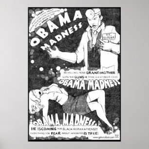 Poster Folie d'Obama