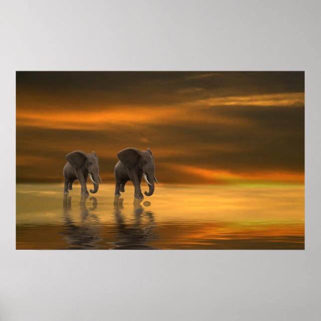 Poster Follow Me Two (Devant)