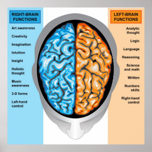 Poster Fonctions gauche et droite du cerveau humai