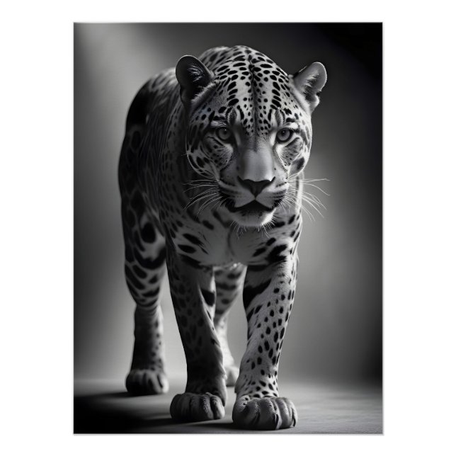 Poster Fond d'écran de faune majestueuse de léopard Natur (Devant)