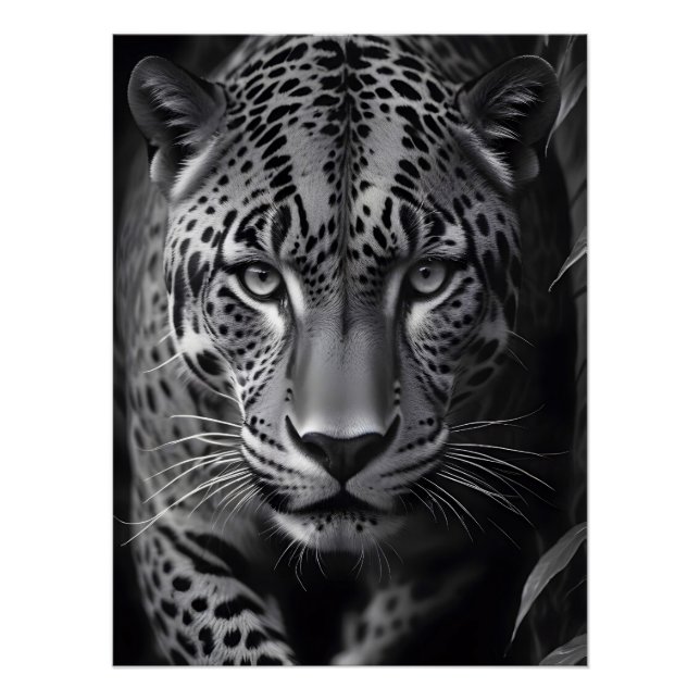 Poster Fond d'écran de faune majestueuse de léopard Natur (Devant)