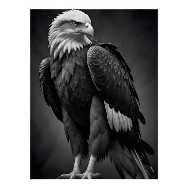 Poster Fond d'écran de la faune majestueuse de la nature  (Devant)