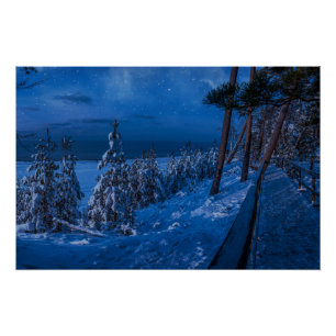Poster Forest path at winter night