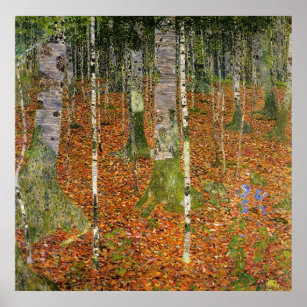 Poster Forêt de Birch