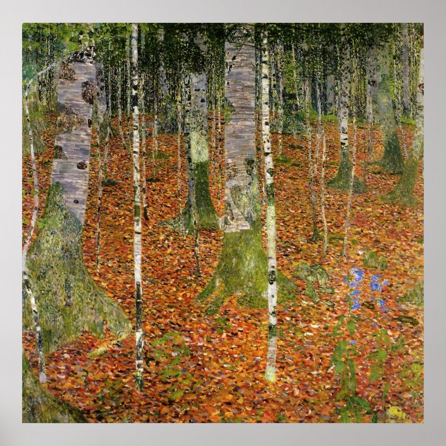 Poster Forêt de Birch (Devant)