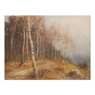Poster Forêt de bouleau - Hugo Mühlig