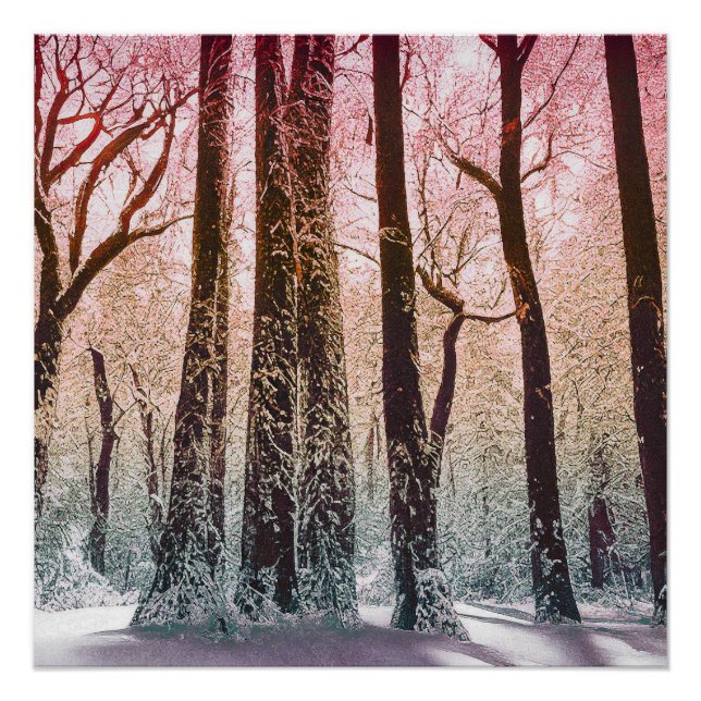 POSTER  FORÊT DE NEIGE NATURE (Devant)