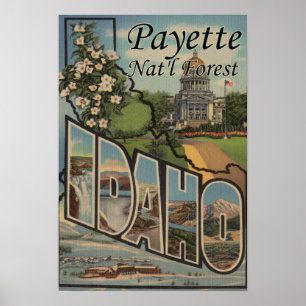 Poster Forêt de Payette Nat'l, Idaho - Scène aux grandes 