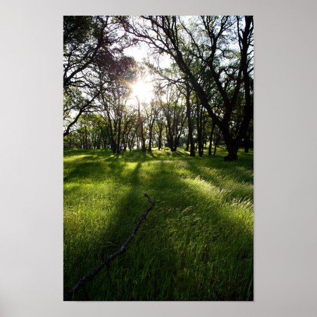 Poster "Forêt des ombres" (Devant)