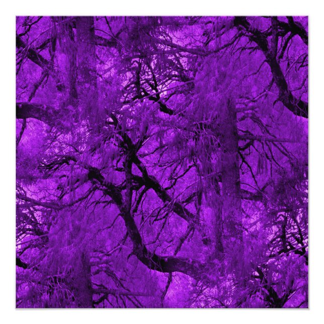 Poster Forêt d'Imaginaires... (Devant)