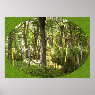 Poster Forêt d'Oboe