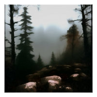Forêt du matin brouillard au-delà du paysage du ru