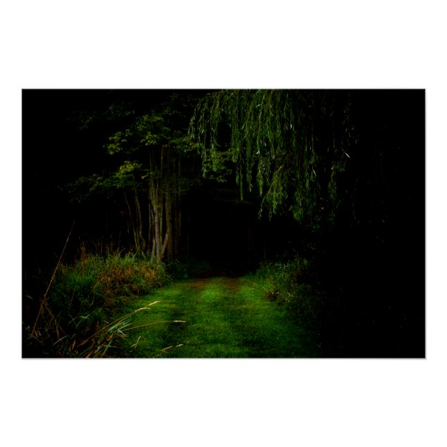 Poster Forêt éffrayante (Devant)