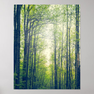 Poster Forêt mystique