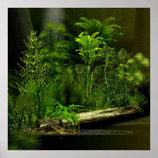 Poster forêt profonde de carbo 2