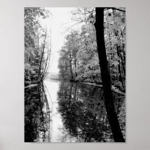 Poster Forêt Rivière Noir et Blanc